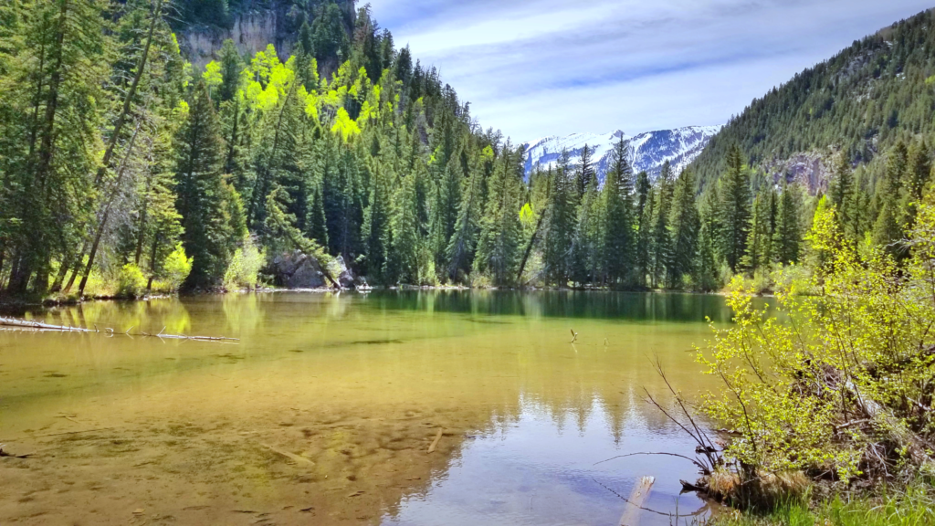 A lake surrounded by trees and mountains