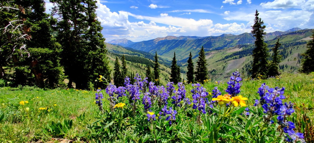 What to do in Crested Butte - Globetrotter Kyle