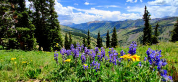 What to do in Crested Butte