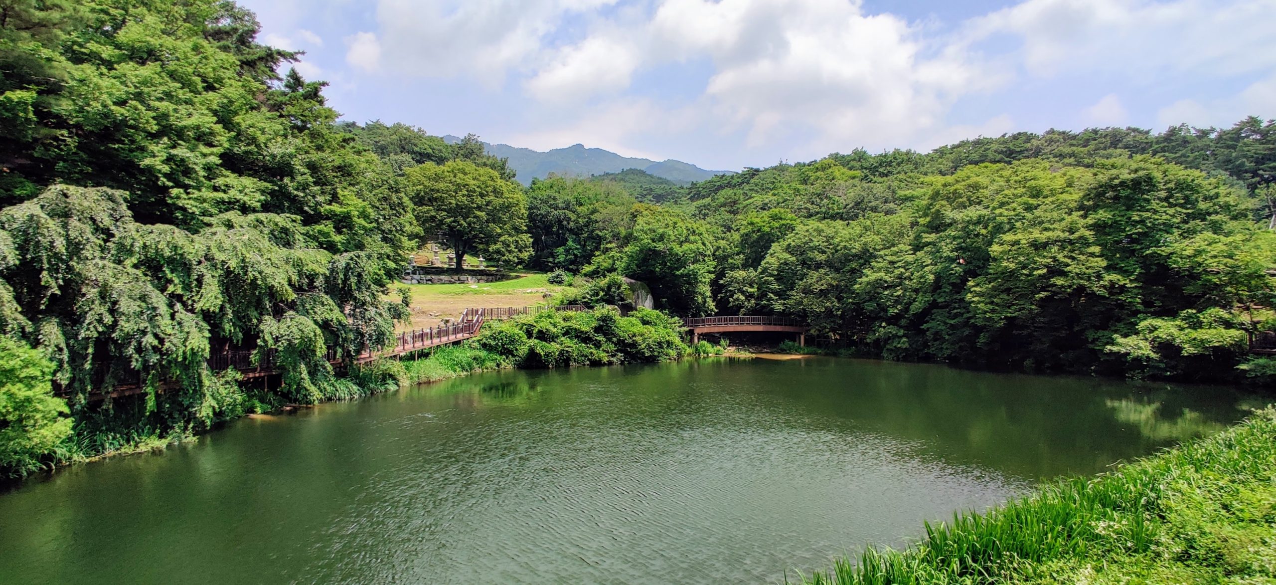 a mountain stream-fed pond in buddhist temple grounds in south korea's Donghwasa temple Daegu