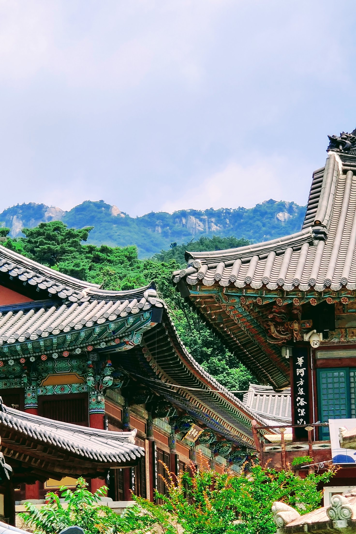 curved roofs of south korean buddhist temple architecture