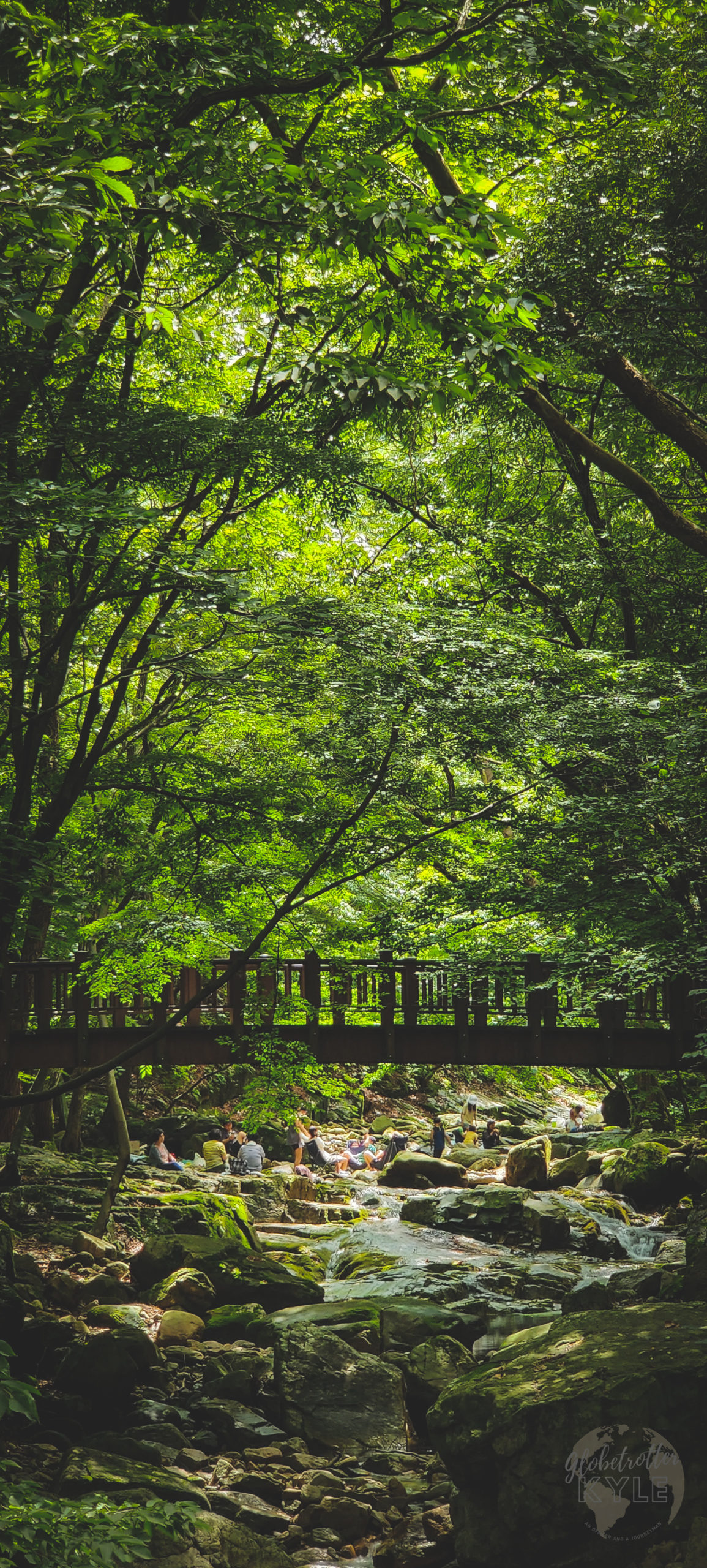 a bridge crosses a calm river in a forest in south korea