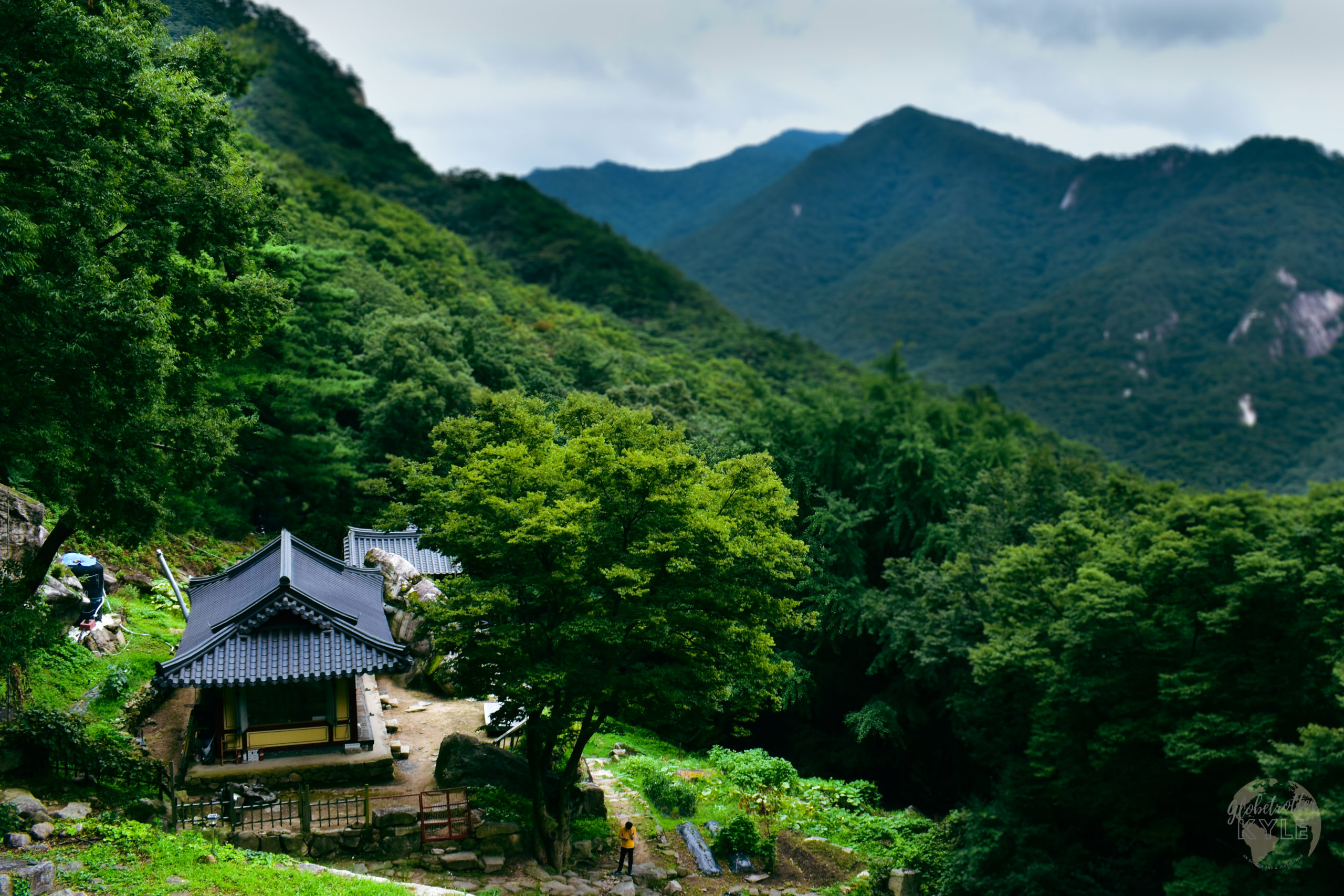 a quaint buddhist hermitage overlooks a massive valley filled with pine and oak trees in the mountains of south korea