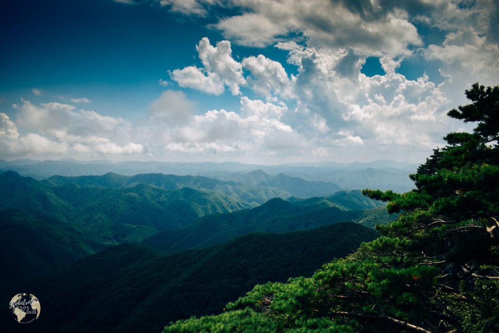 a forested mountain range stretches beyond the horizon in south korea juwangsan national park