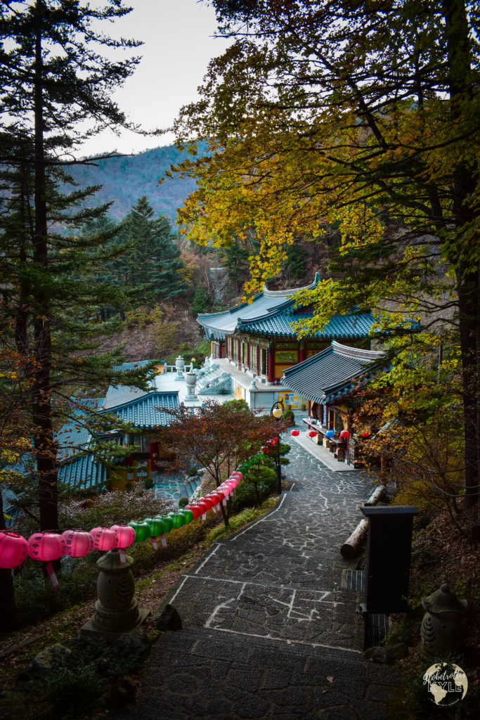 A path leading to a building surrounded by fall leaves in Korea