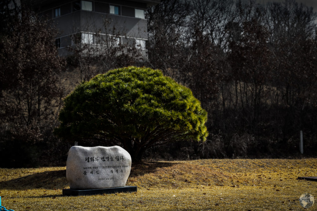 The "Plant Prosperity and Peace" tree