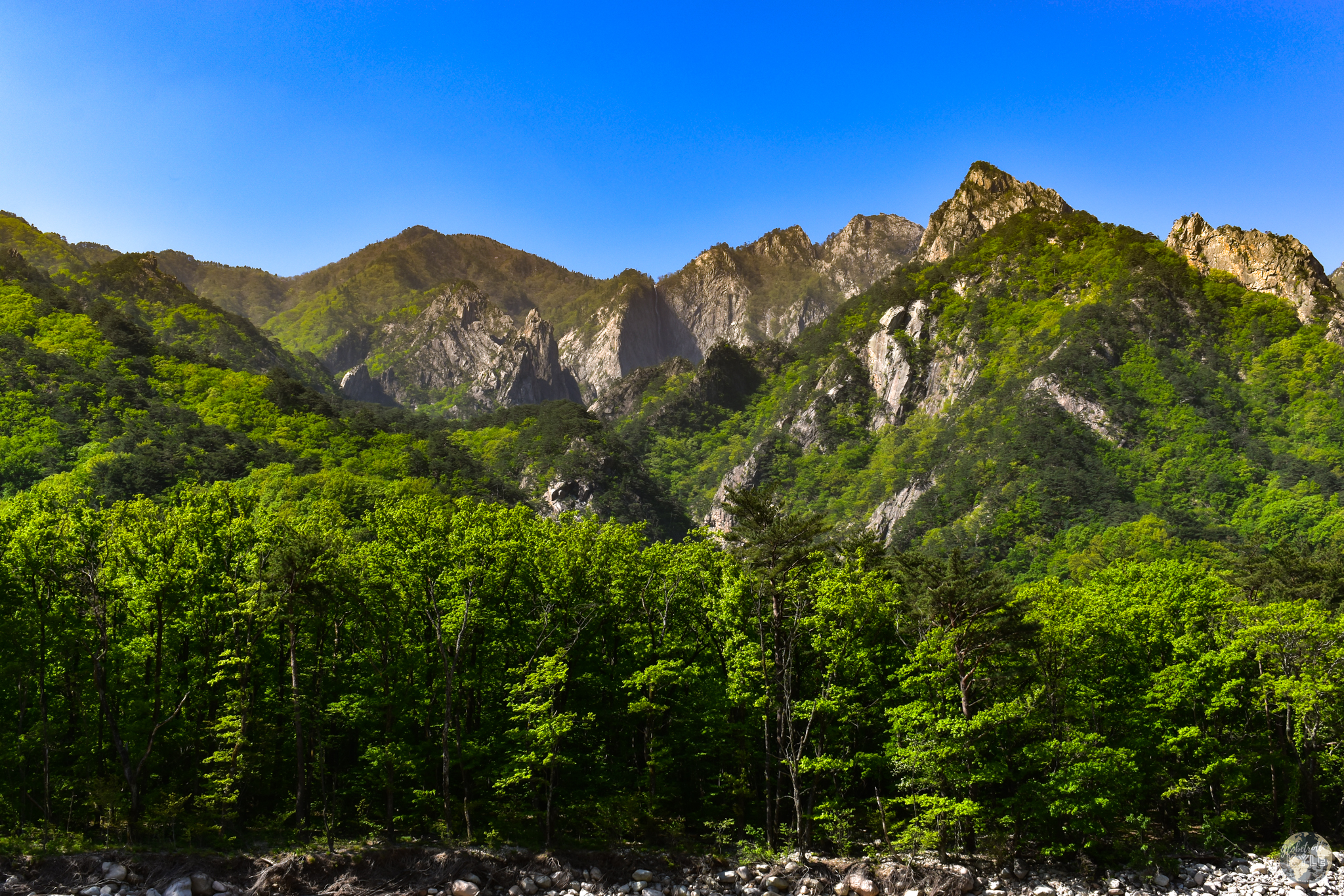 A lush forest in the Taebaek mountains with Towangseong Falls in the background at Seoraksan National Park, Sokcho, South Korea. 