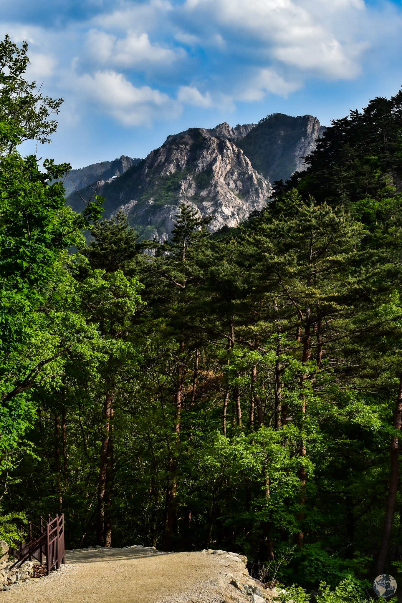 A path leading into a dense pine forest with a mountain rising in the background beneath a partly cloudy sky at Soraksan National Park, South Korea