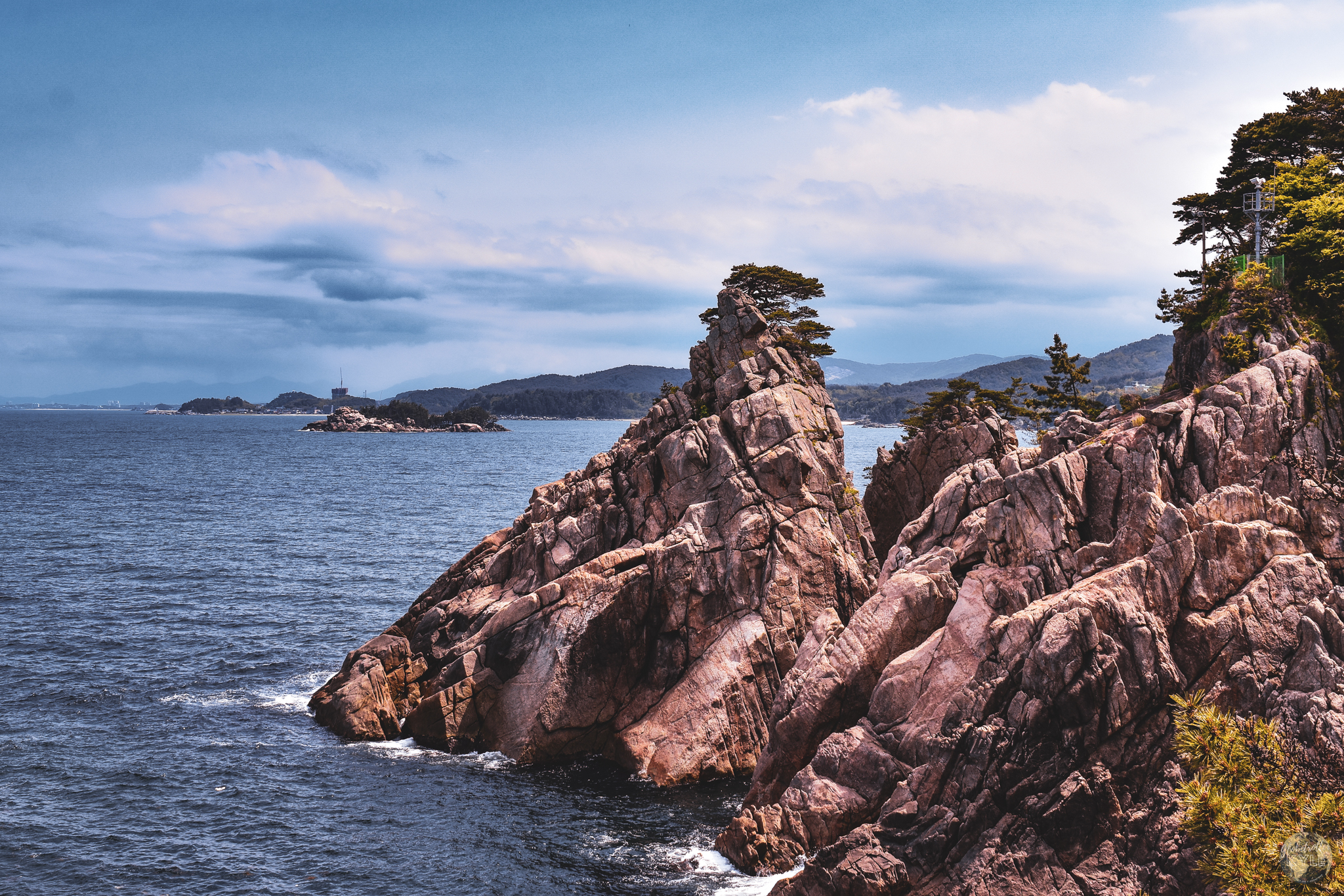 A single pine tree sits perched on top of a sea cliff near the Hajodae beach and Hajodae Lighthouse in Yangyang, South Korea Guide for Sokcho and Seoraksan
