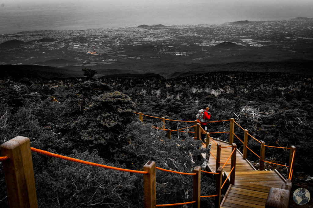 a hiking trail up Mt Hallasan on Jeju Island in South Korea