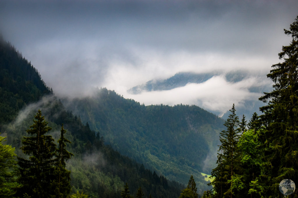 a foggy mountain range with trees 