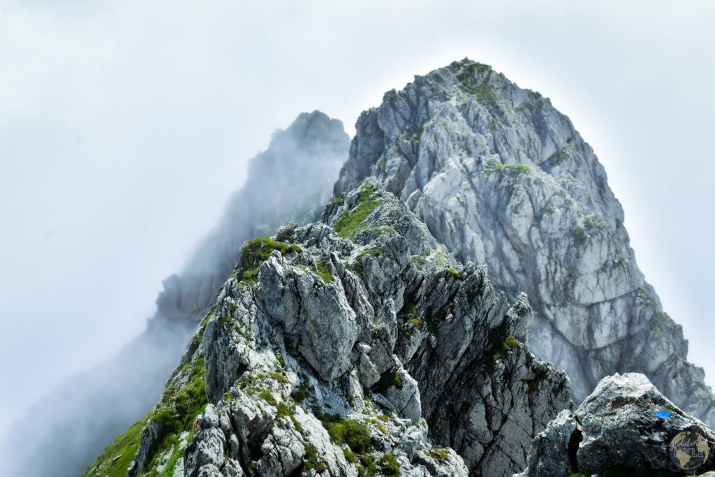 A jagged mountain peak with grass growing on it and fog behind it 