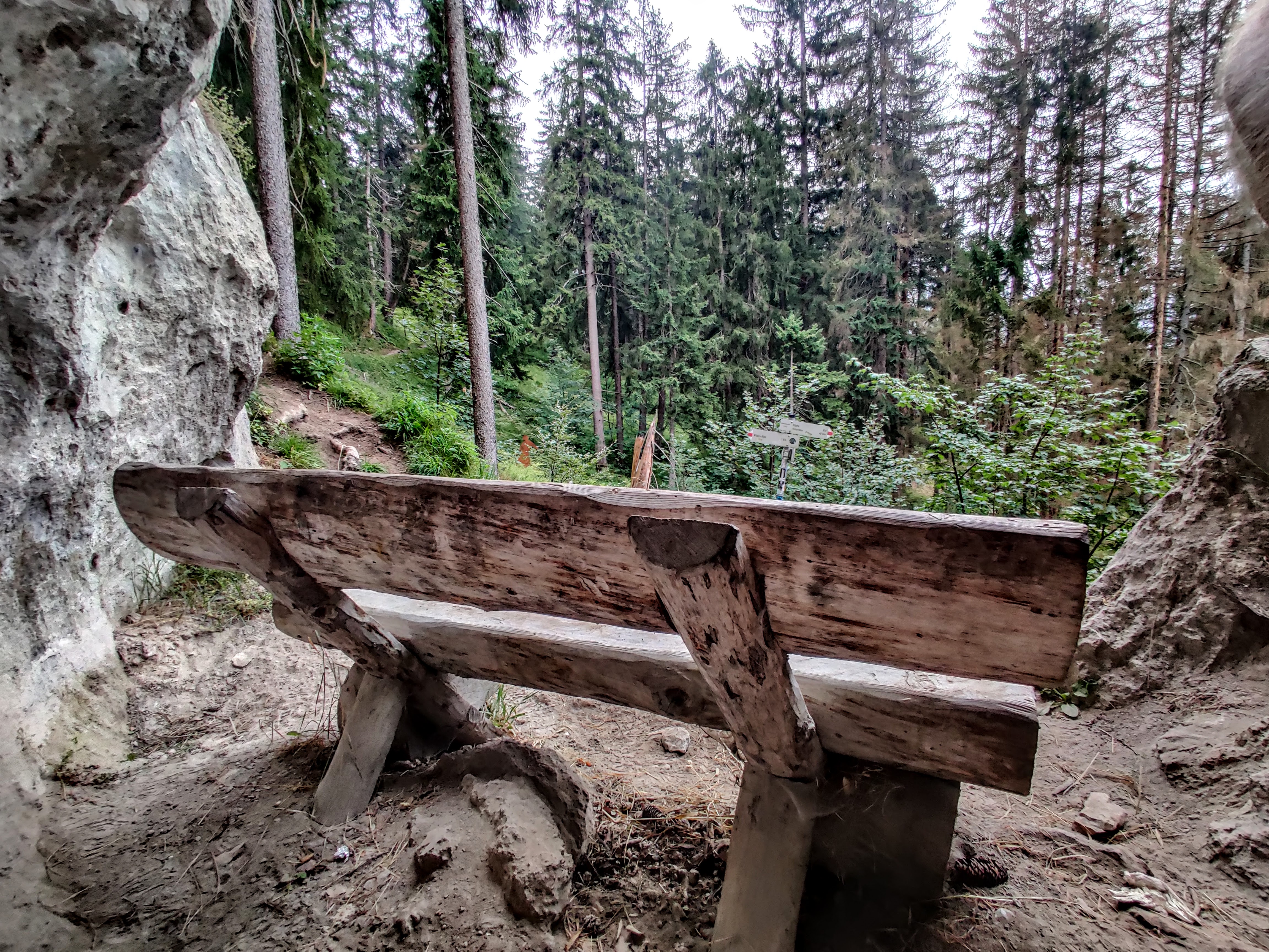 A wooden bench in the woods 