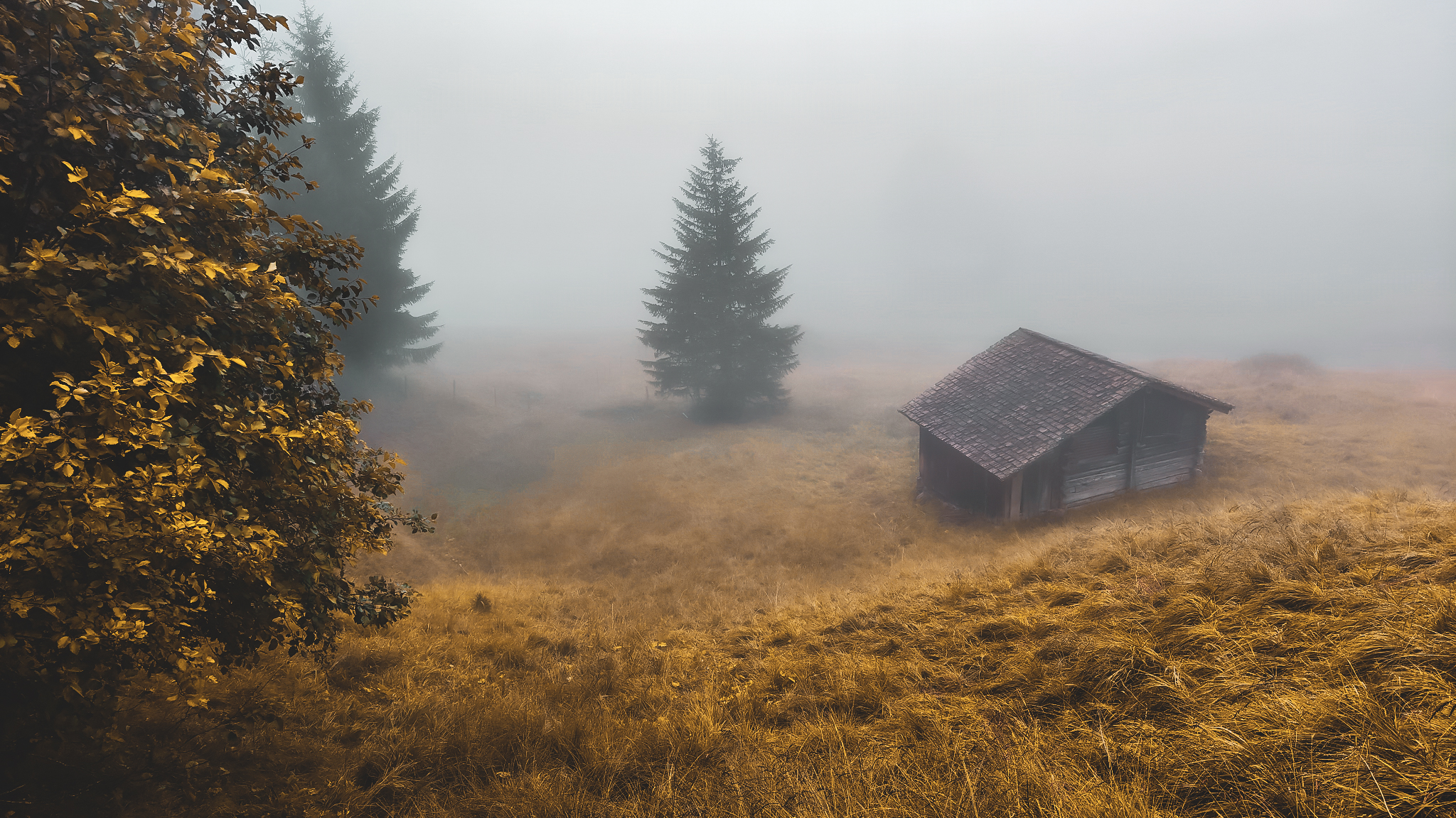 a shack appears through dense fog as seen along a hut to hut hike in switzerland