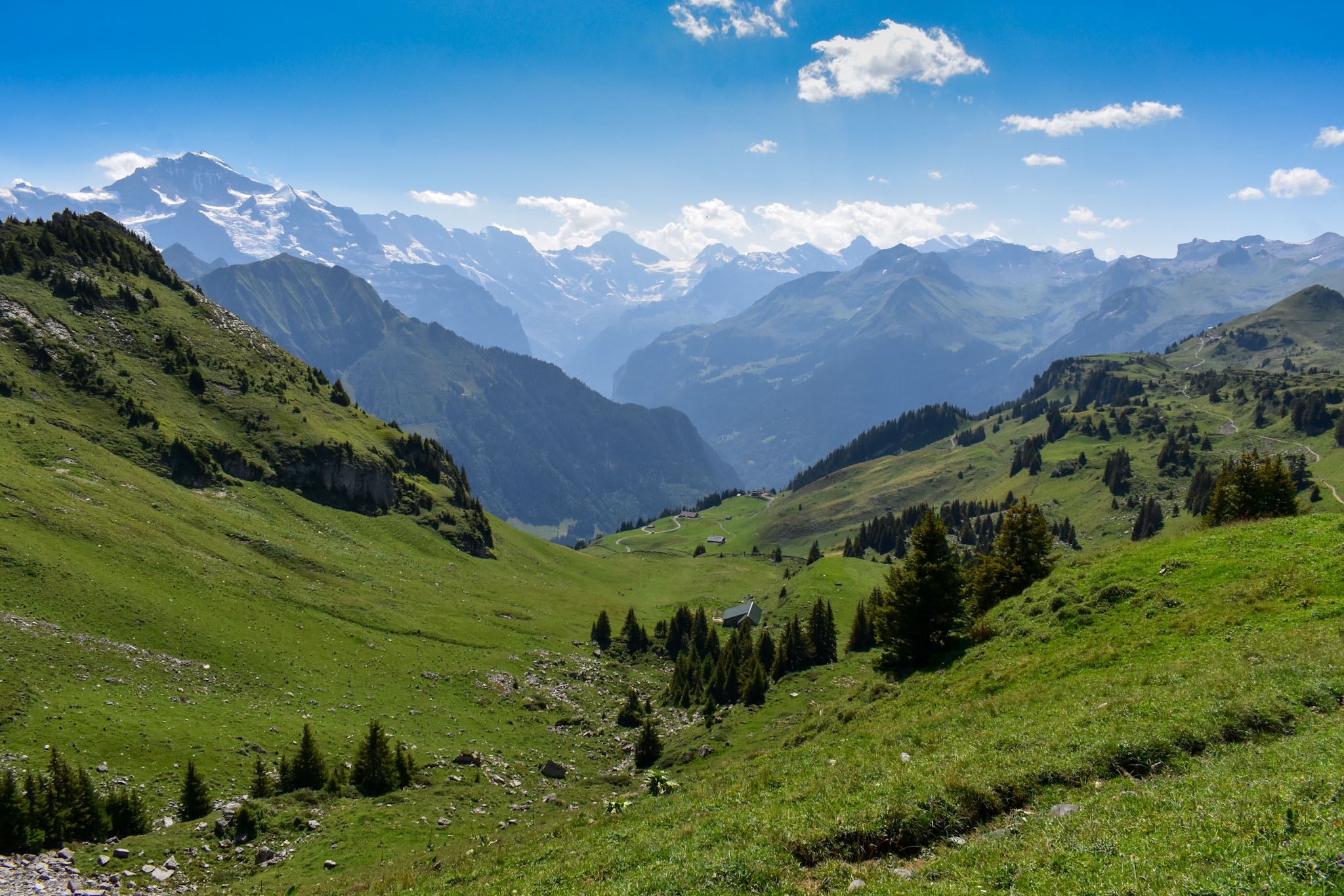 The highest and oldest pasture in the swiss alps along the Eiger Ultra Trail along a hut to hut hike in switzerland