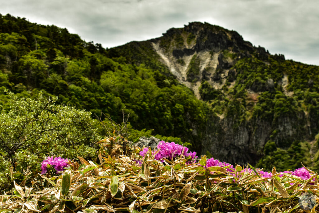 How to Make the Most of Jeju Island's Warmest Season