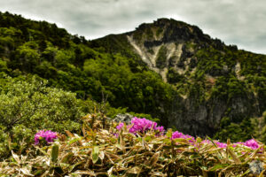 How to Make the Most of Jeju Island’s Warmest Season