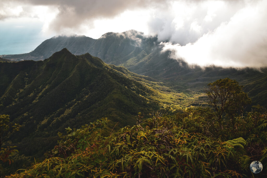 Views of the North Shore from Mt. Kaʻala, the highest mountain on Oahu, one of the hardest things to do in Oahu