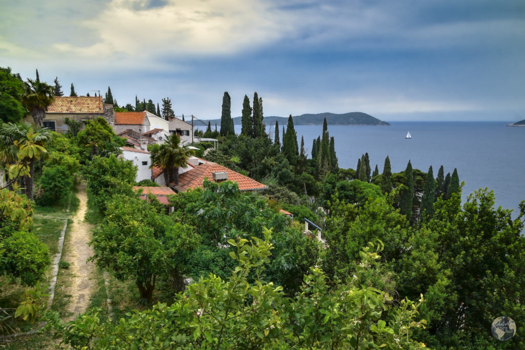 Trsteno Arboretum near dubrovnik, a must do